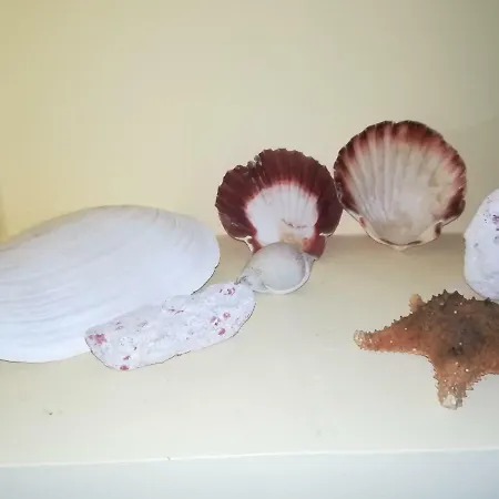 Varandas Do Mar Appartement Fão